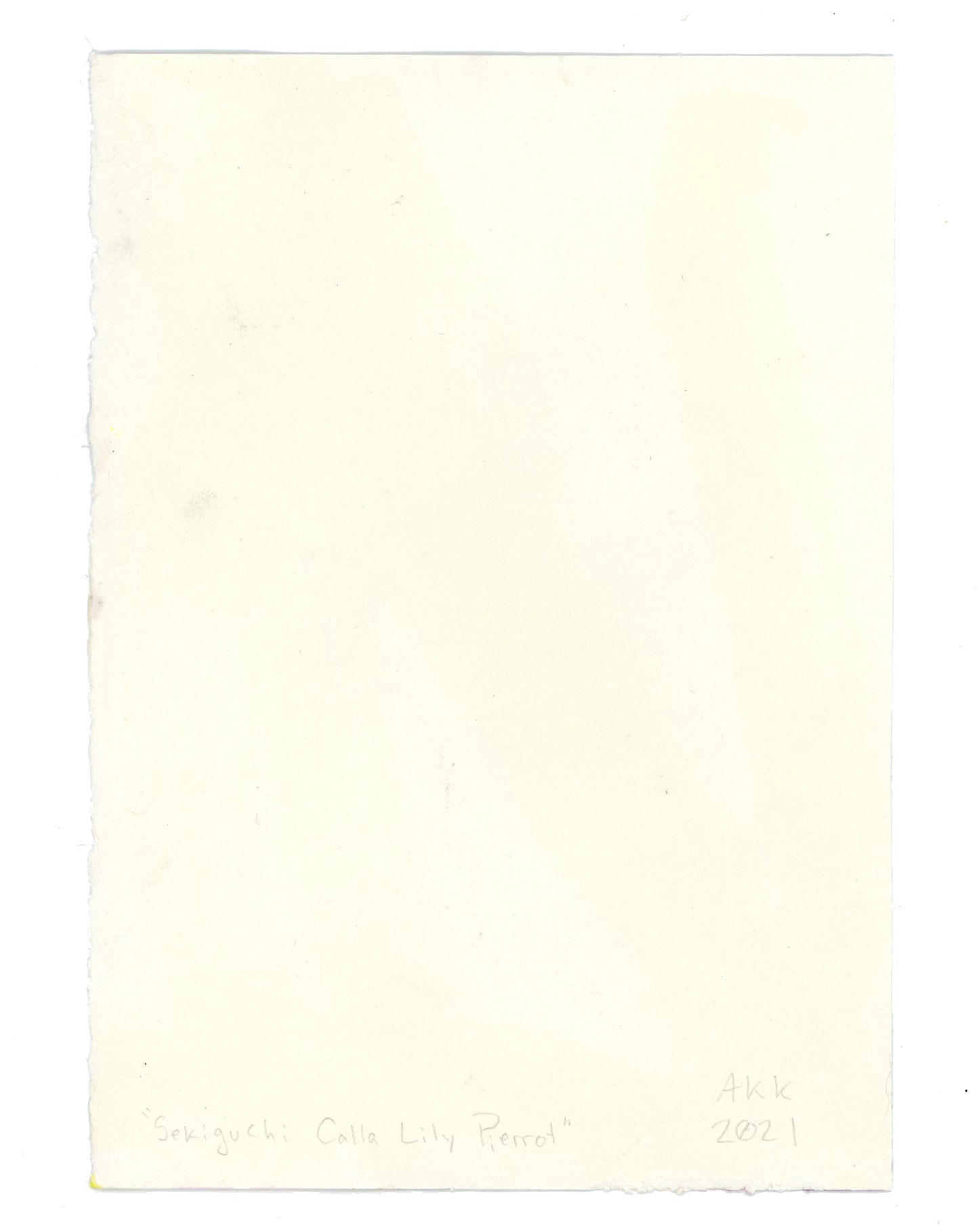 Watercolor #9: "Sekiguchi Musicbox Study #3, Lily" [Watercolor and Graphite on Hot Press Watercolor Paper, 5 x 7 inches]