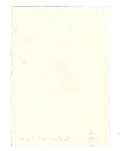 Watercolor #9: "Sekiguchi Musicbox Study #3, Lily" [Watercolor and Graphite on Hot Press Watercolor Paper, 5 x 7 inches]