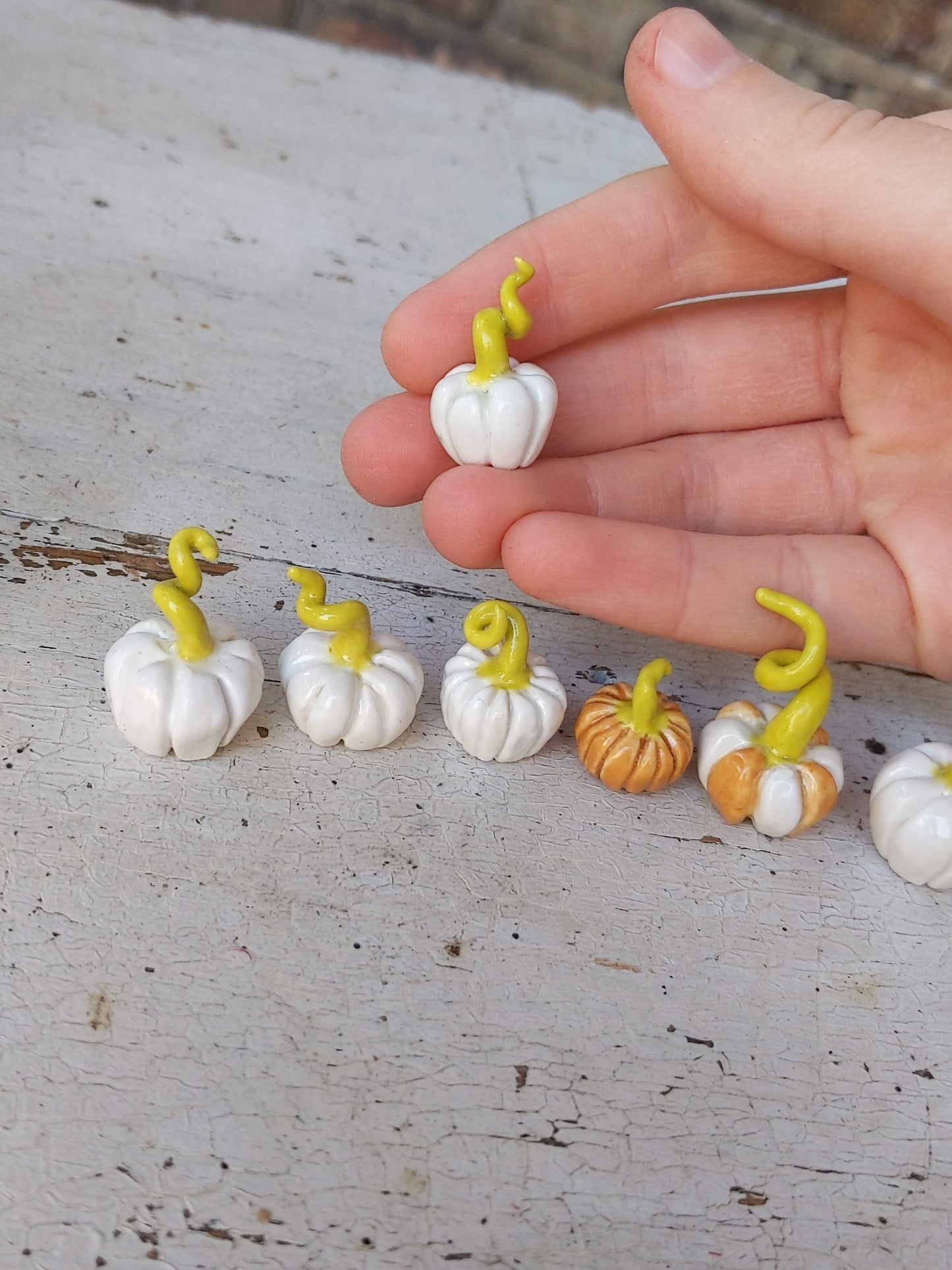 Curly-Stemmed Porcelain Pumpkin [White or Orange]