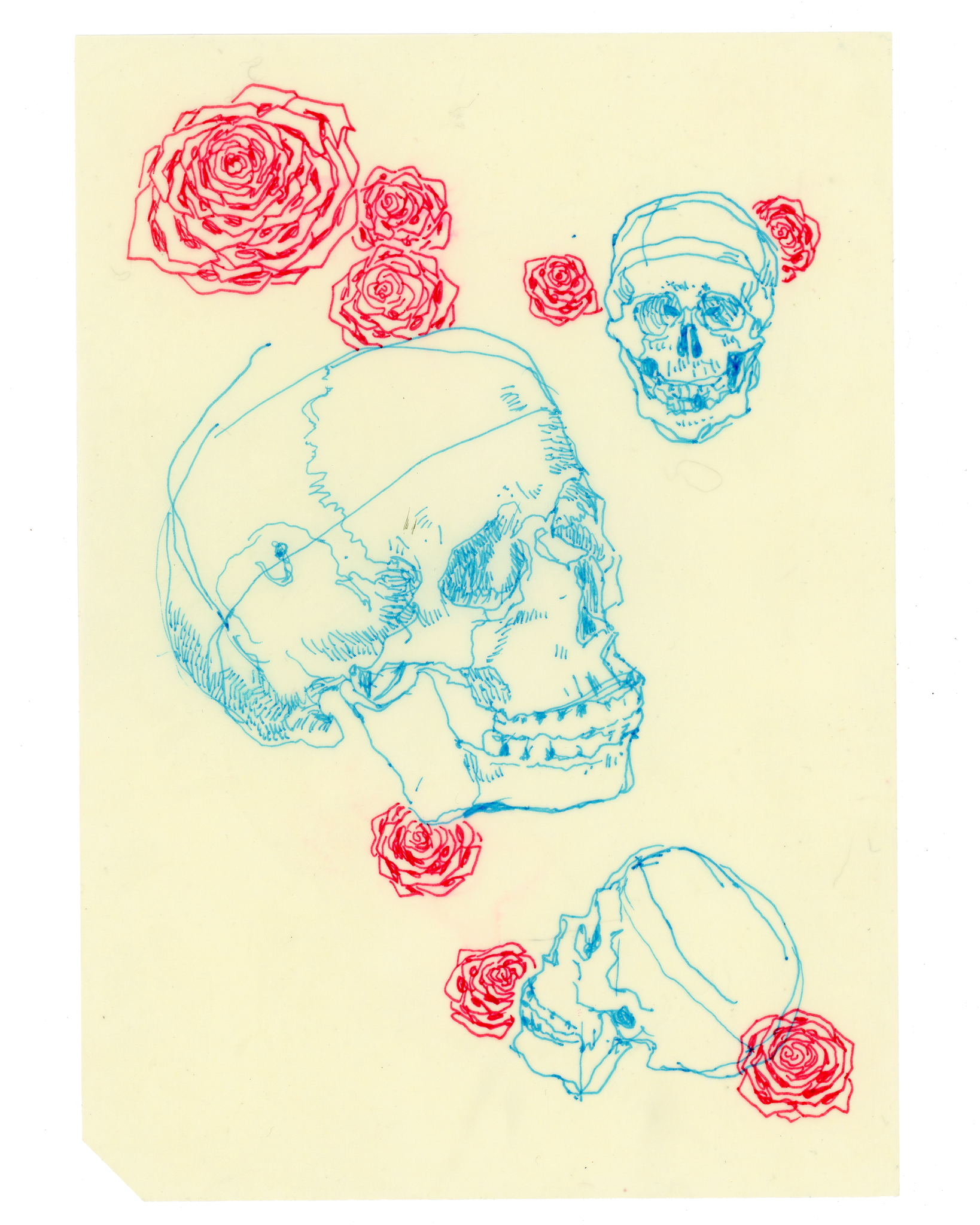 Drawing #112: "Skull Study #4: Tosca and Roses" [Beeswaxed Midori A5 paper]